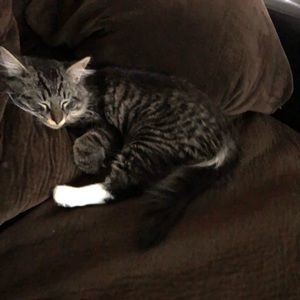 Meet your Posher, Kaylie